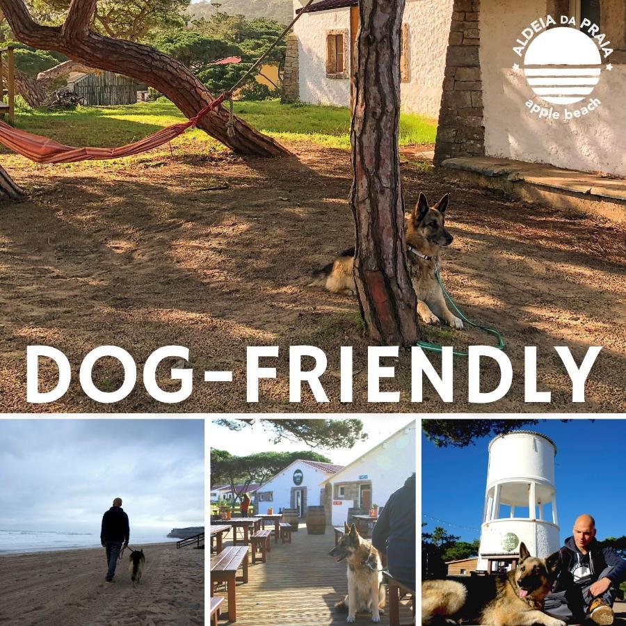Oasis Backpackers Hostel Sintra Surf 콜라레스 외부 사진