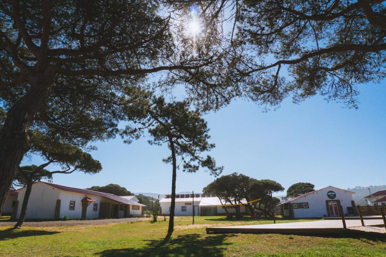 Oasis Backpackers Hostel Sintra Surf 콜라레스 외부 사진