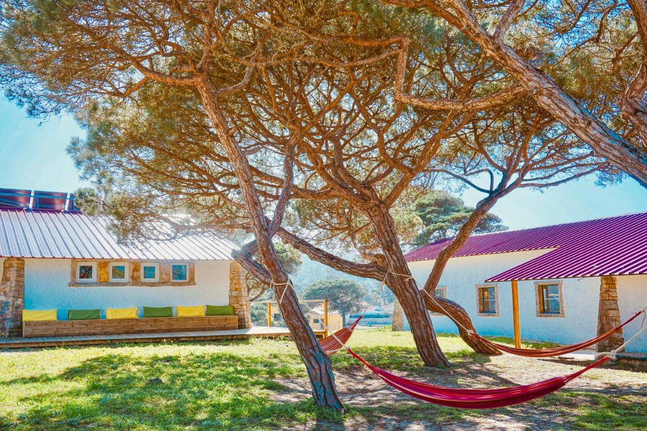 Oasis Backpackers Hostel Sintra Surf 콜라레스 외부 사진